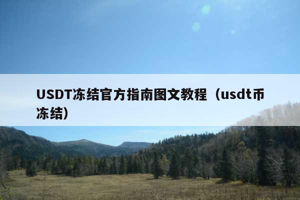 USDT冻结官方指南图文教程(usdt币冻结)