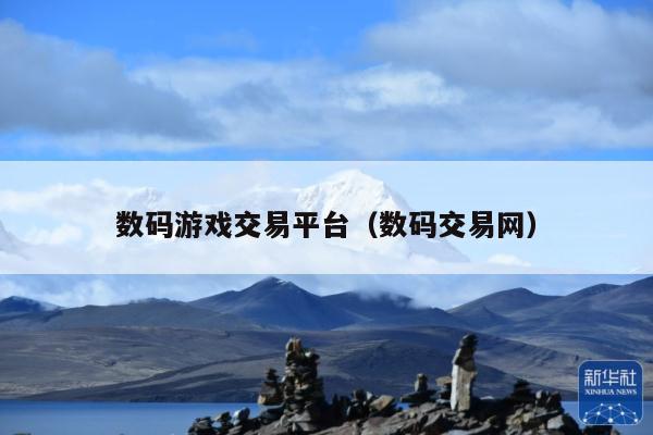 数码游戏交易平台(数码交易网)