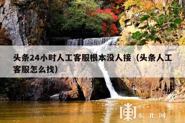头条24小时人工客服根本没人接(头条人工客服怎么找)