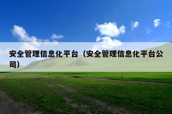 安全管理信息化平台(安全管理信息化平台公司)