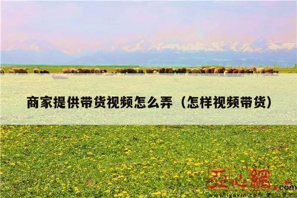 商家提供带货视频怎么弄(怎样视频带货)