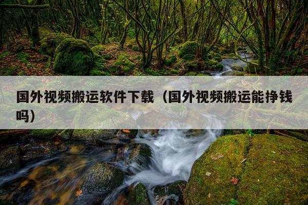 国外视频搬运软件下载(国外视频搬运能挣钱吗)