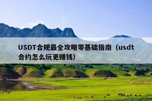 USDT合规最全攻略零基础指南(usdt合约怎么玩更赚钱)