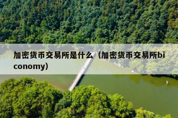加密货币交易所是什么(加密货币交易所biconomy)