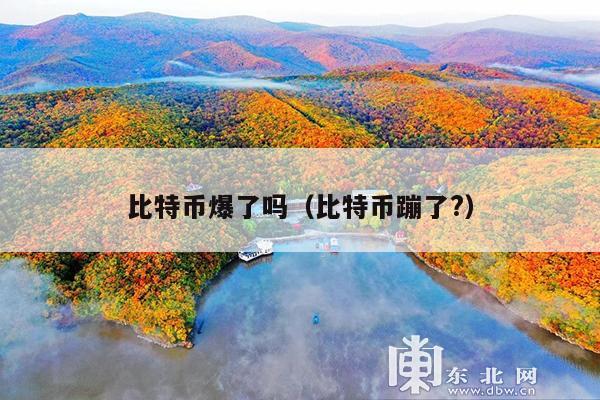 比特币爆了吗(比特币蹦了?)