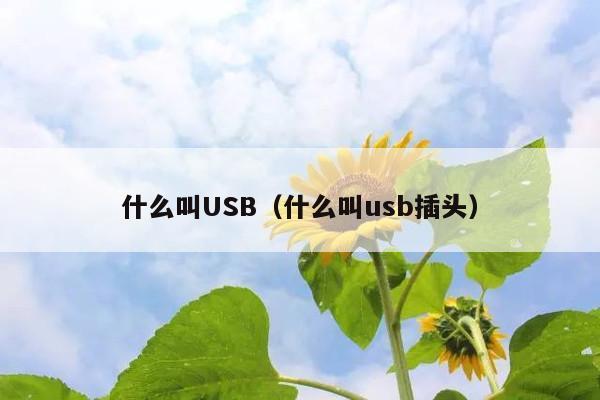 什么叫USB(什么叫usb插头)