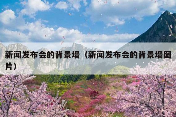 新闻发布会的背景墙(新闻发布会的背景墙图片)