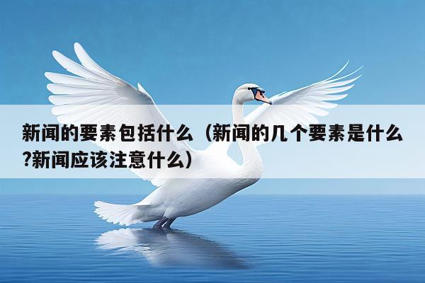 新闻的要素包括什么(新闻的几个要素是什么?新闻应该注意什么)