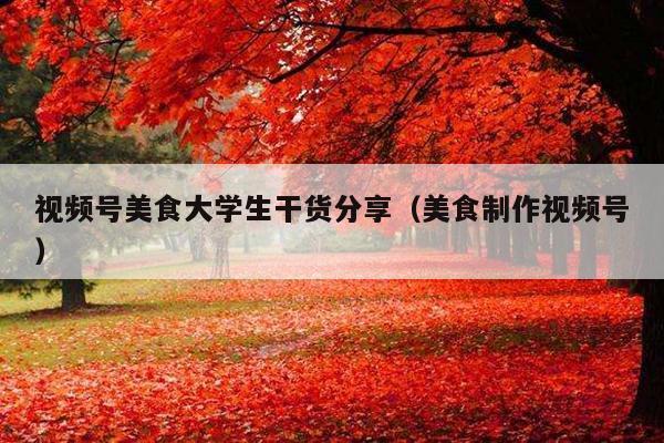 视频号美食大学生干货分享(美食制作视频号)