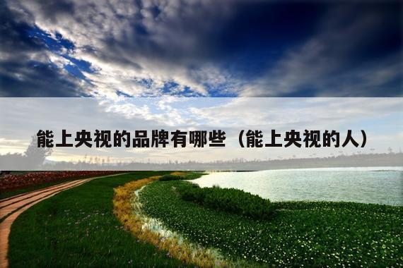能上央视的品牌有哪些(能上央视的人)