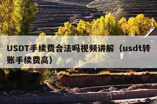 USDT手续费合法吗视频讲解(usdt转账手续费高)