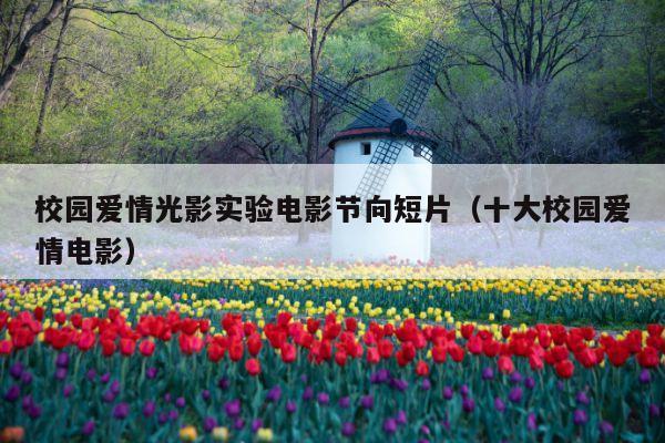 校园爱情光影实验电影节向短片(十大校园爱情电影)