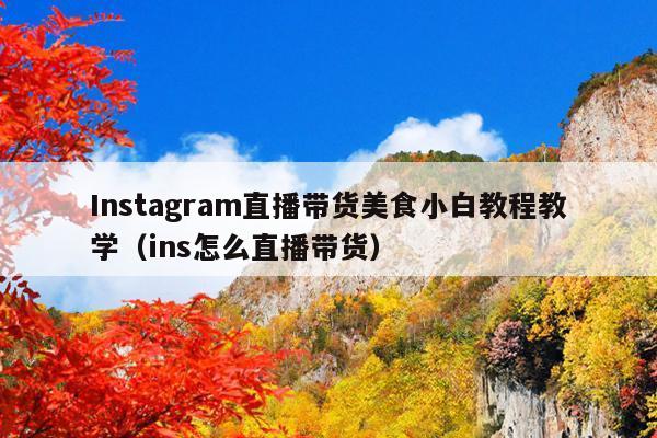 Instagram直播带货美食小白教程教学(ins怎么直播带货)