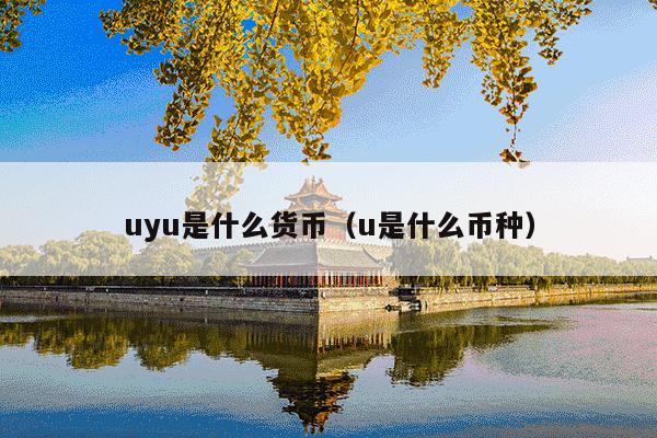 uyu是什么货币(u是什么币种)