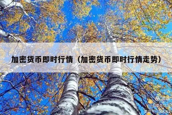 加密货币即时行情(加密货币即时行情走势)