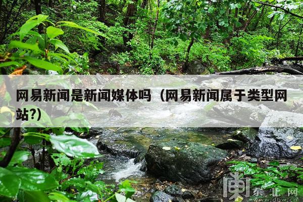 网易新闻是新闻媒体吗(网易新闻属于类型网站?)