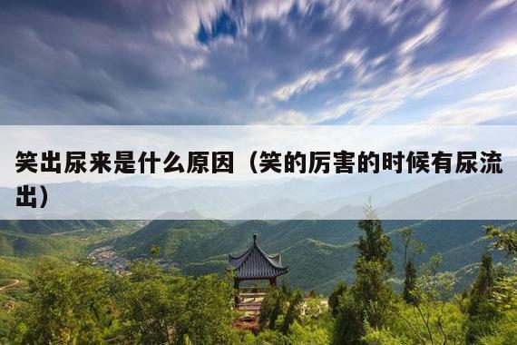 笑出尿来是什么原因(笑的厉害的时候有尿流出)