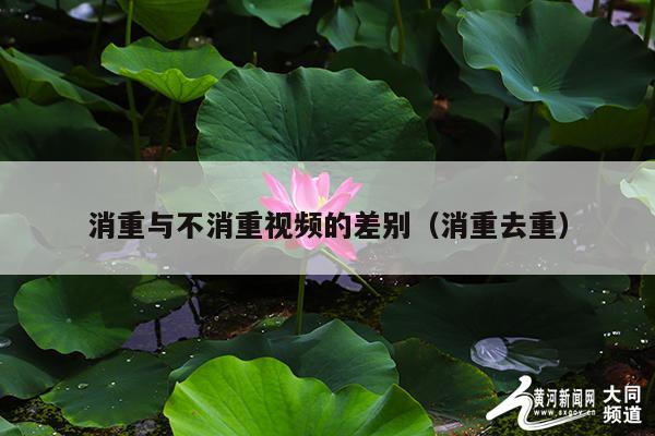 消重与不消重视频的差别(消重去重)