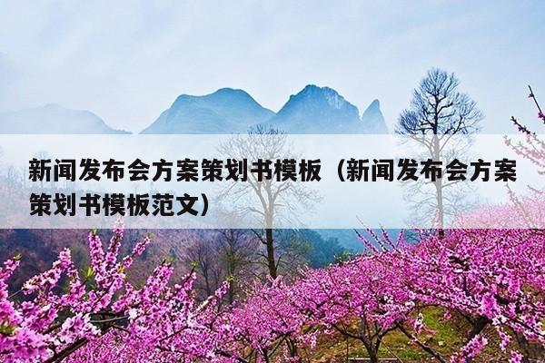 新闻发布会方案策划书模板(新闻发布会方案策划书模板范文)