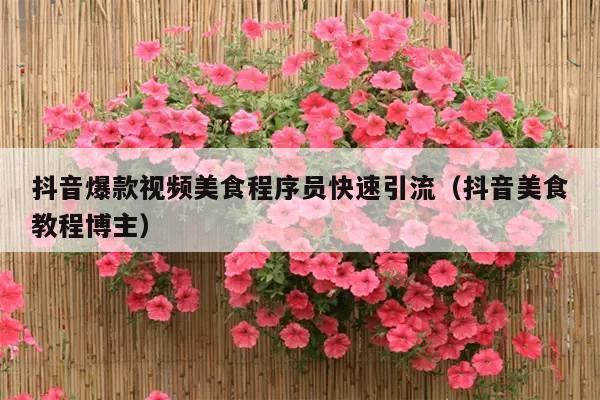 抖音爆款视频美食程序员快速引流(抖音美食教程博主)