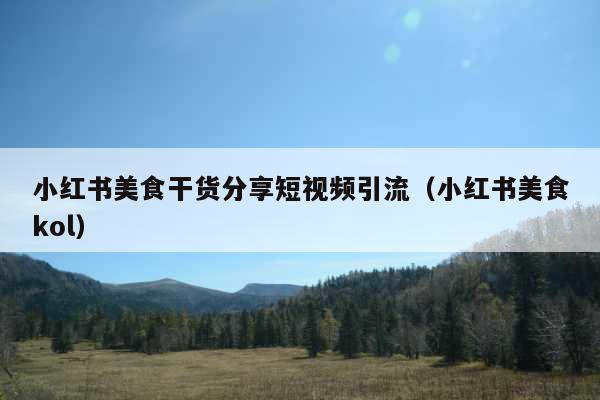 小红书美食干货分享短视频引流(小红书美食kol)