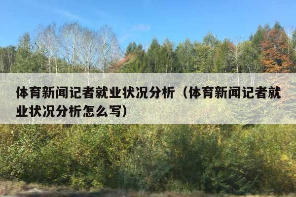 体育新闻记者就业状况分析(体育新闻记者就业状况分析怎么写)