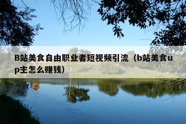B站美食自由职业者短视频引流(b站美食up主怎么赚钱)
