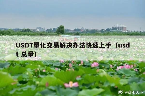 USDT量化交易解决办法快速上手(usdt 总量)