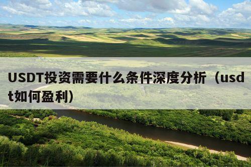 USDT投资需要什么条件深度分析(usdt如何盈利)