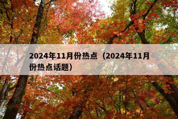 2024年11月份热点(2024年11月份热点话题)
