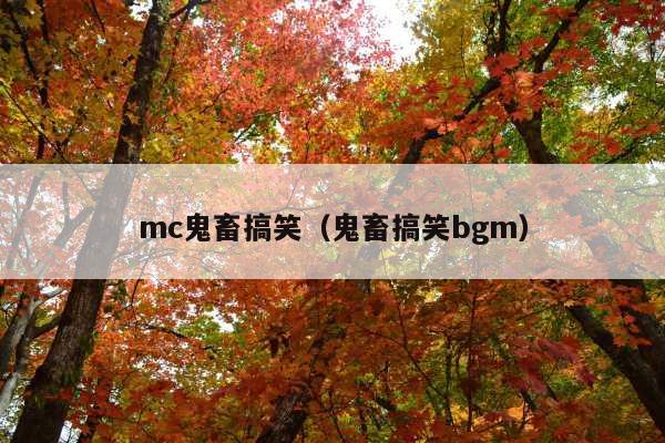 mc鬼畜搞笑(鬼畜搞笑bgm)