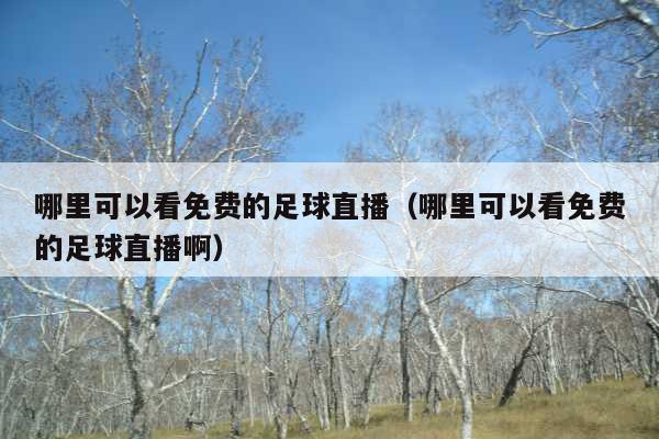 哪里可以看免费的足球直播(哪里可以看免费的足球直播啊)