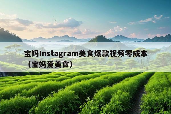 宝妈Instagram美食爆款视频零成本(宝妈爱美食)