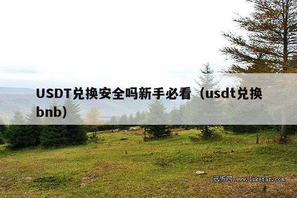 USDT兑换安全吗新手必看(usdt兑换bnb)
