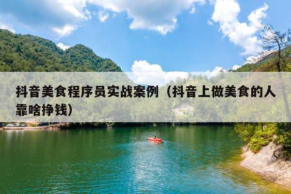 抖音美食程序员实战案例(抖音上做美食的人靠啥挣钱)