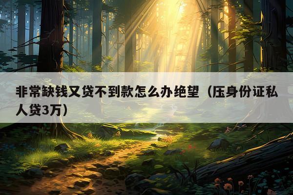 非常缺钱又贷不到款怎么办绝望(压身份证私人贷3万)