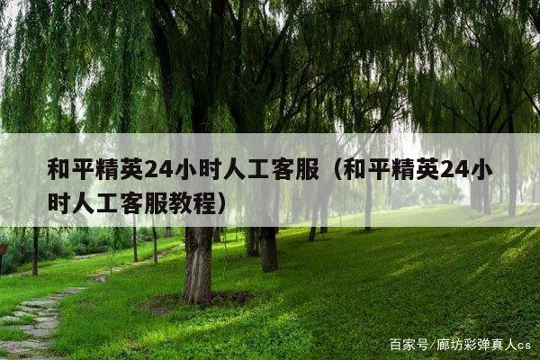 和平精英24小时人工客服(和平精英24小时人工客服教程)