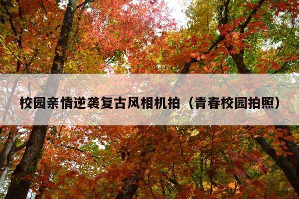 校园亲情逆袭复古风相机拍(青春校园拍照)