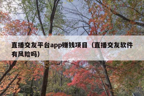 直播交友平台app赚钱项目(直播交友软件有风险吗)