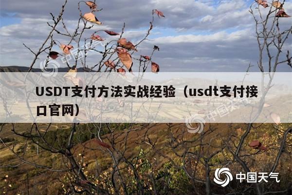 USDT支付方法实战经验(usdt支付接口官网)
