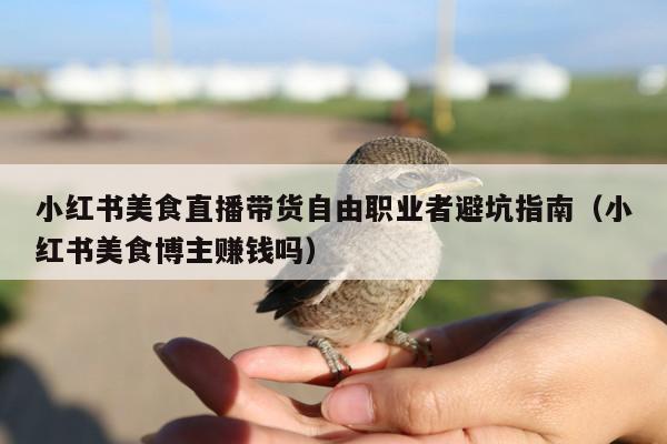 小红书美食直播带货自由职业者避坑指南(小红书美食博主赚钱吗)