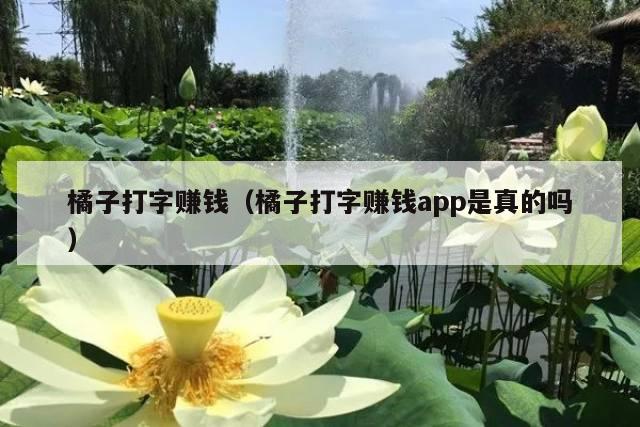 橘子打字赚钱(橘子打字赚钱app是真的吗)