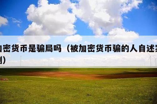 加密货币是骗局吗(被加密货币骗的人自述案例)