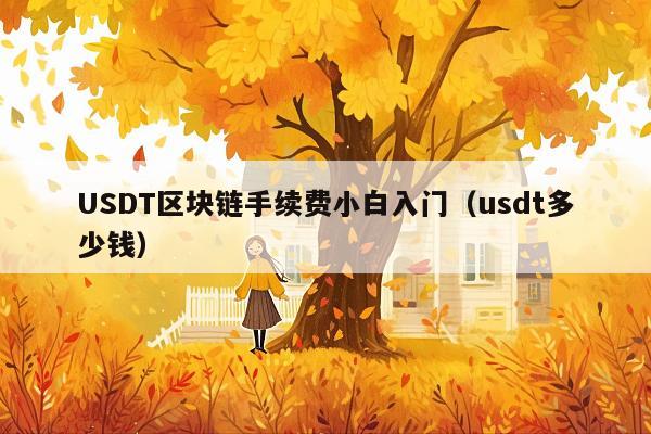 USDT区块链手续费小白入门(usdt多少钱)