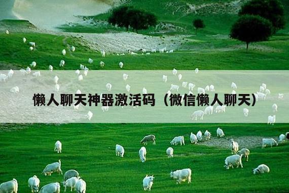 懒人聊天神器激活码(微信懒人聊天)