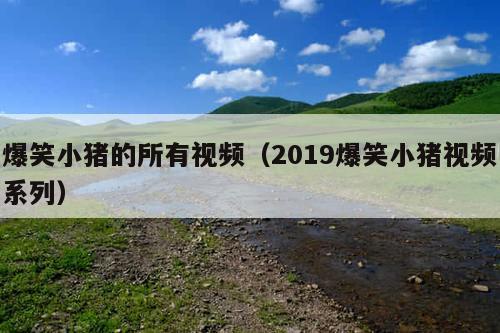 爆笑小猪的所有视频(2019爆笑小猪视频系列)