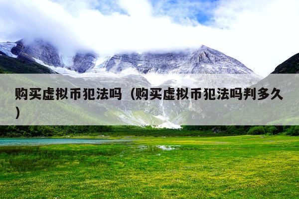 购买虚拟币犯法吗(购买虚拟币犯法吗判多久)