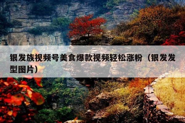 银发族视频号美食爆款视频轻松涨粉(银发发型图片)