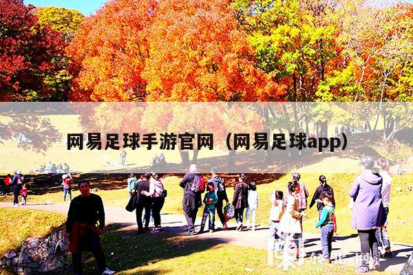 网易足球手游官网(网易足球app)