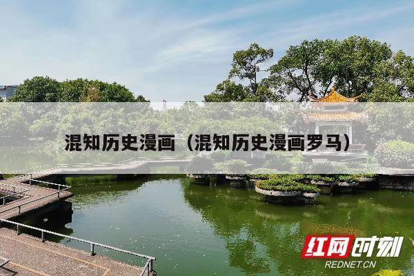 混知历史漫画(混知历史漫画罗马)
